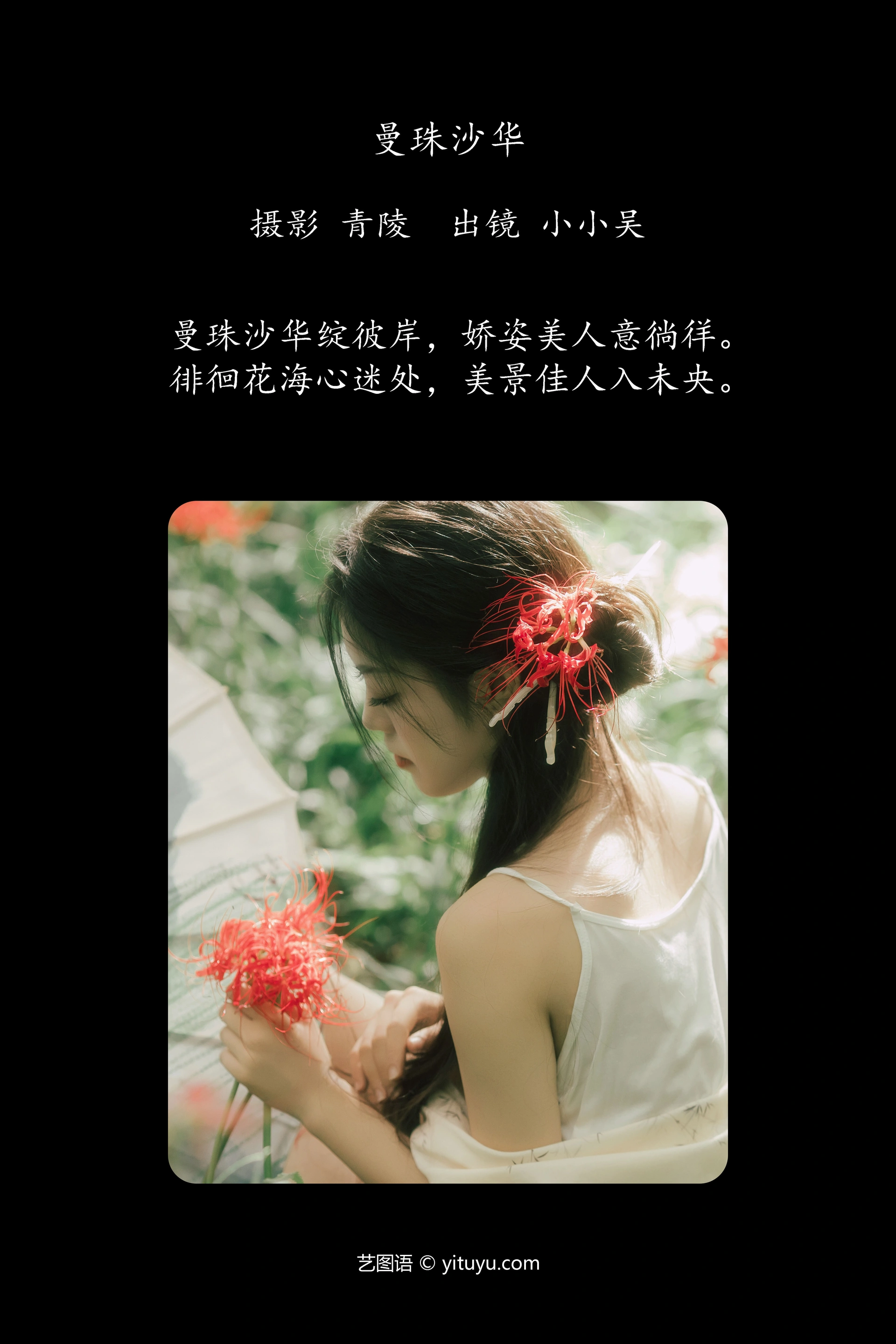 [YITUYU艺图语]2024.12.10 曼珠沙华 小小吴 1