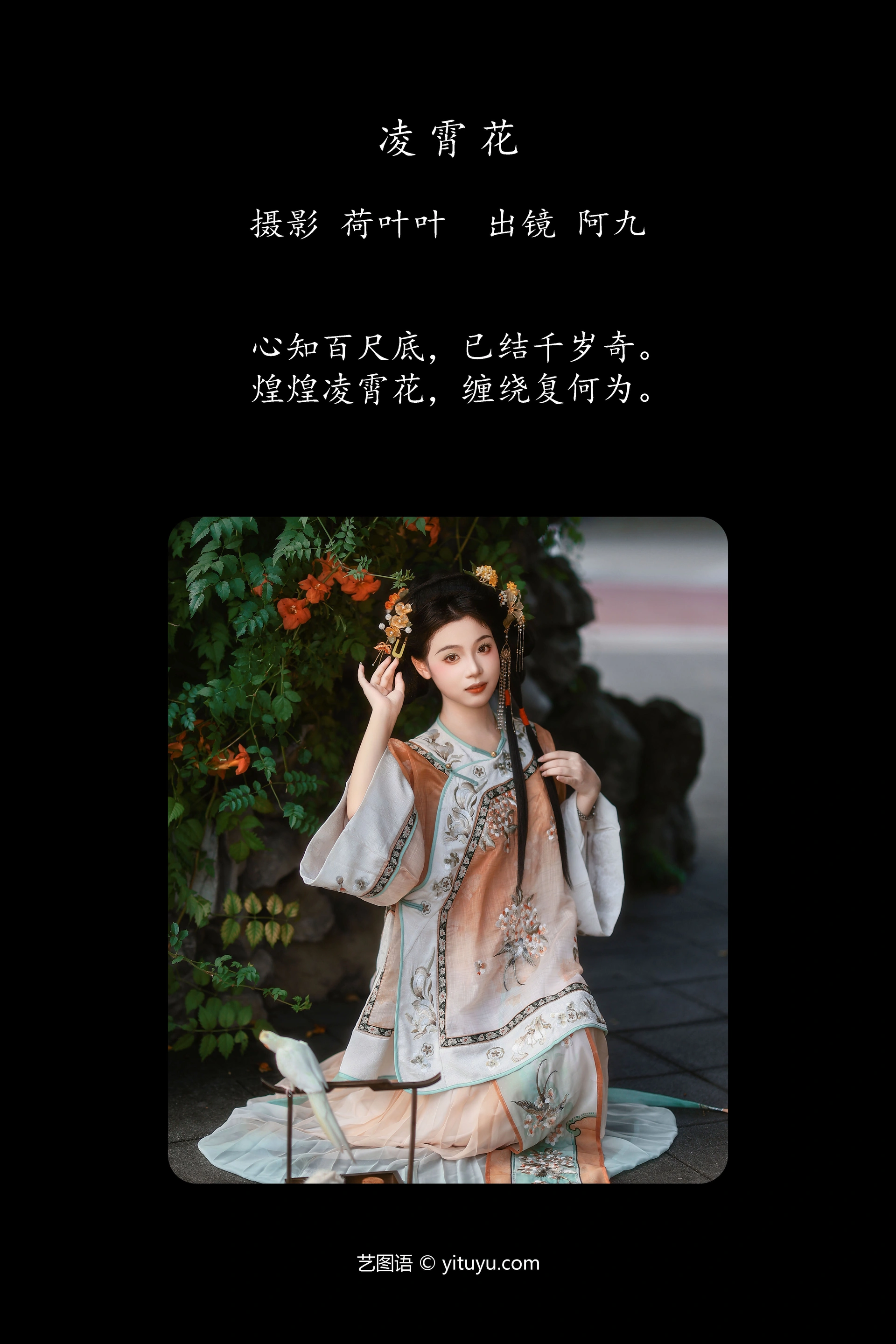 [YITUYU艺图语]2024.12.12 凌霄花 铁臂阿桐木 1
